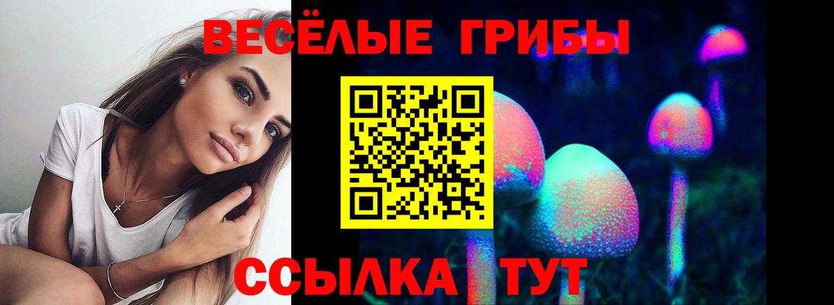 Галлюциногенные грибы Psilocybe  Вход с VPN  Галлюциногенные грибы Magic Shrooms  Осинники 