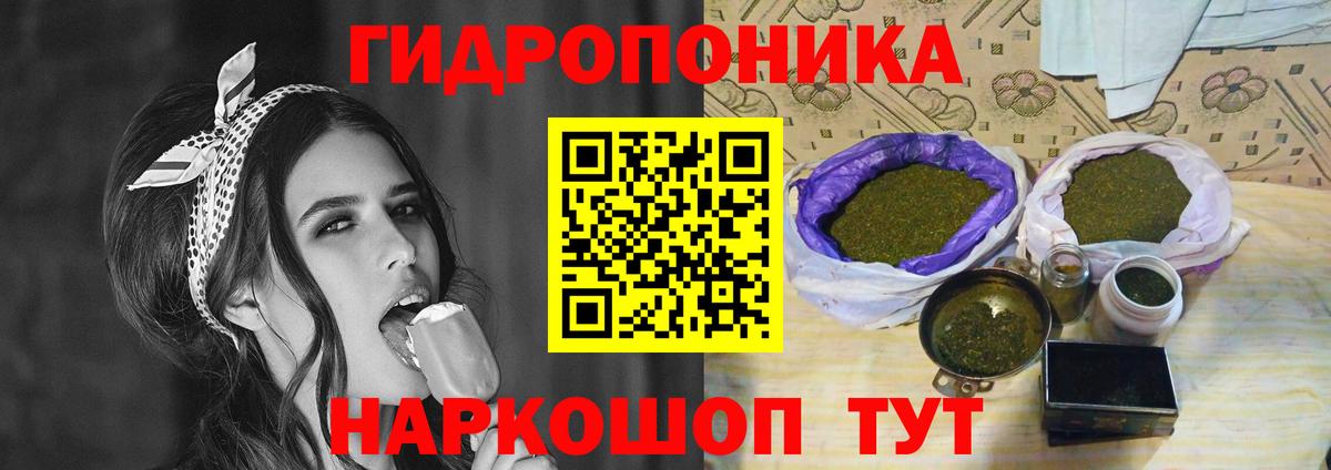 Шишки марихуана марихуана Осинники